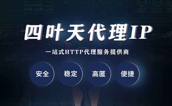 【泸州代理IP】代理ip客户端使用教程