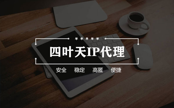 【泸州代理IP】如何快速搭建代理IP？怎么检查代理的效果？